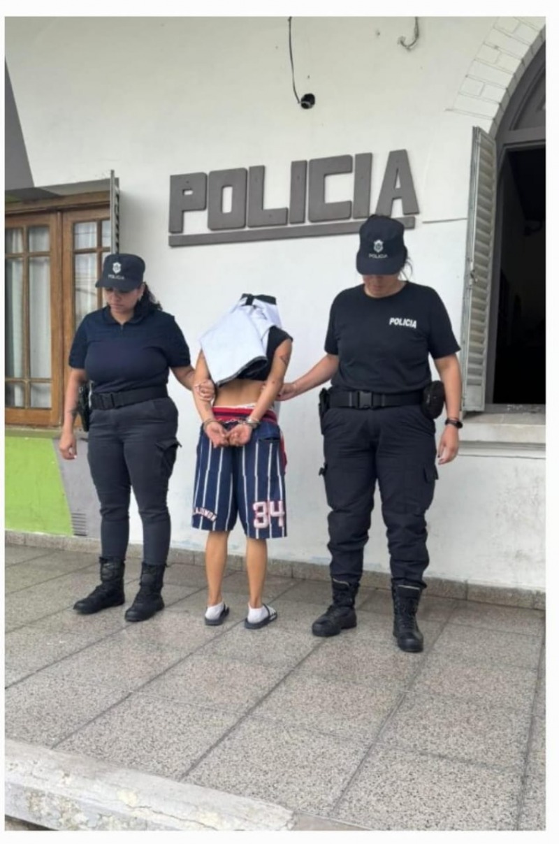 Una mujer detenida por robo agravado y violacin de domicilio